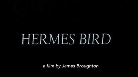 hermes bird broughton|james broughton wiki.